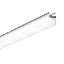 WIGGLE - L SK2902041